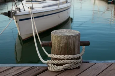 Illustration snubbed - Image 1