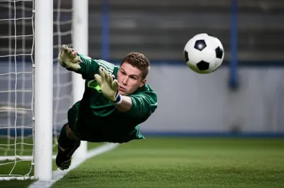 Illustration repel - Image 1