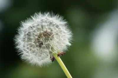 Illustration express - Image 1