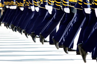 Illustration march - Image 1