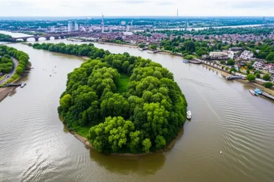 Illustration eight - Image 1