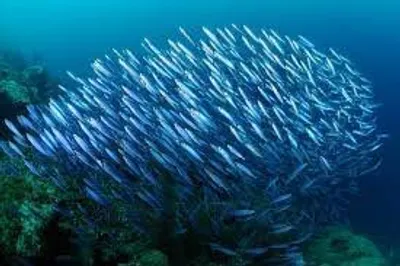 Illustration school - Image 2