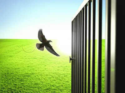 Illustration paroles - Image 1