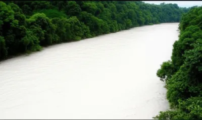 Illustration flour - Image 1