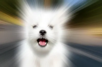 Illustration yap - Image 1