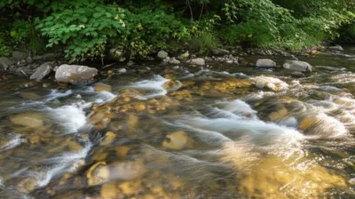 Illustration riffle - Image 1