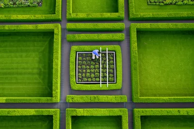 Illustration quadrate - Image 1