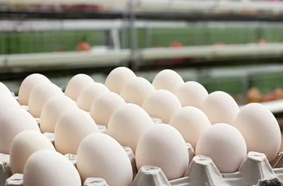 Illustration caged - Image 1