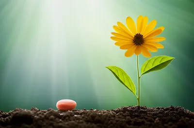 Illustration activate - Image 1