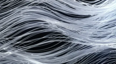 Illustration fibre - Image 1