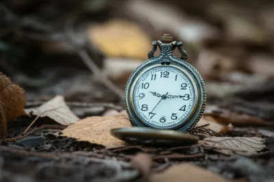 Hình ảnh minh họa hunters - Ảnh 1