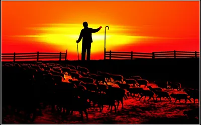 Illustration reclaim - Image 1