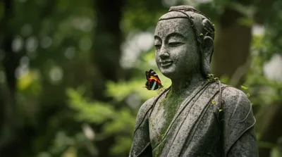 Illustration representations