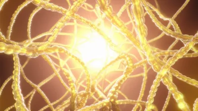 Illustration actinic - Image 1