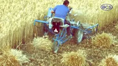 Illustration binder - Image 2