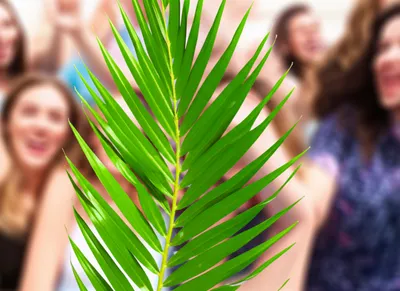 Illustration palms - Image 1