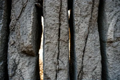 Illustration chinks - Image 1