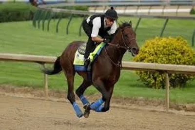 Illustration up - Image 4