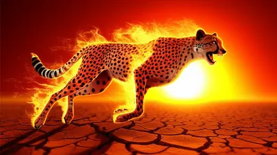 Illustration quicker - Image 1