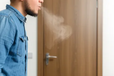 Illustration sike - Image 1