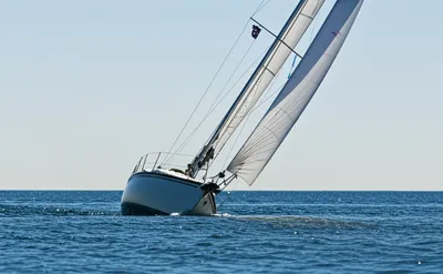 Illustration trim - Image 1