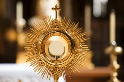 Illustration lunettes - Image 1