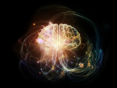 Illustration notions - Image 1