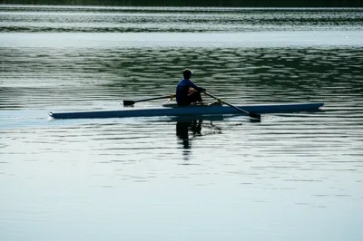 Illustration sculls - Image 1