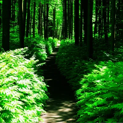 Illustration deepened - Image 1