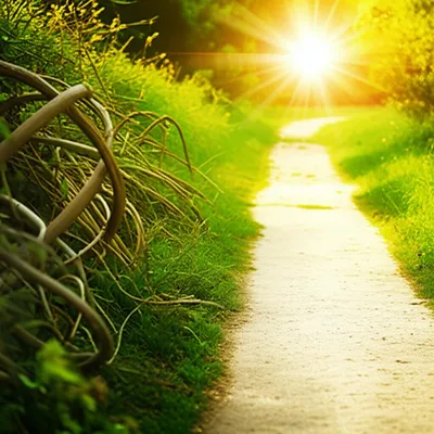 Illustration now - Image 1