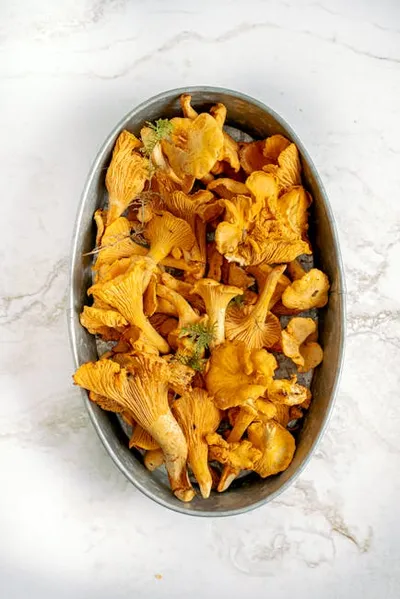 Illustration chanterelle - Image 2