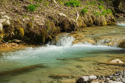 Illustration heading - Image 1