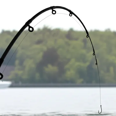 Illustration hooked - Image 1