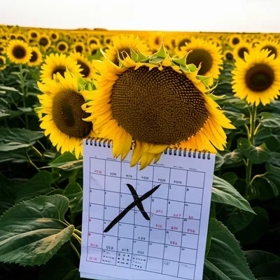 Illustration arrear - Image 1