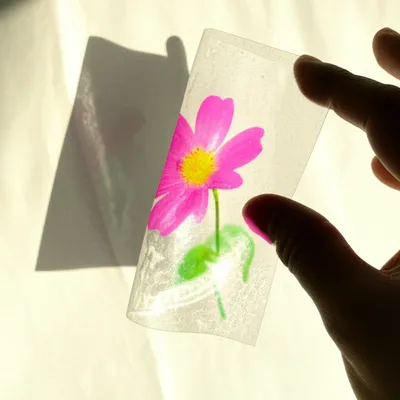 Illustration transparencies - Image 1