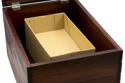 Illustration shell - Image 1