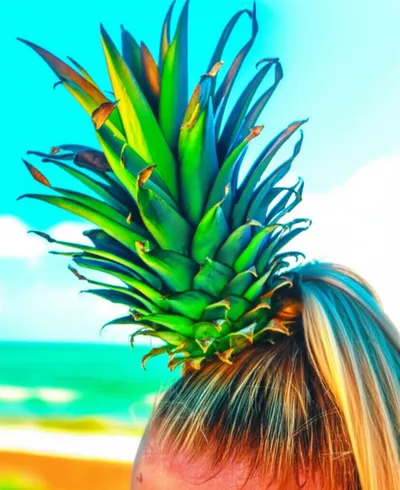 Illustration pineapple - Image 1