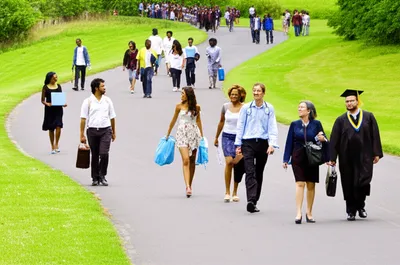 Illustration followed - Image 1