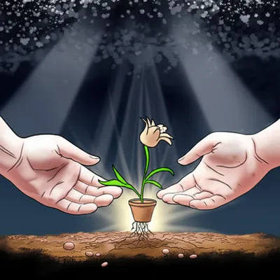 Illustration expiated - Image 1