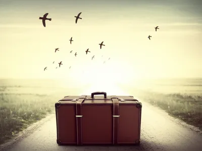 Illustration trip - Image 1