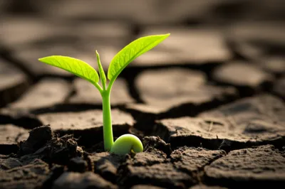 Illustration arise - Image 1