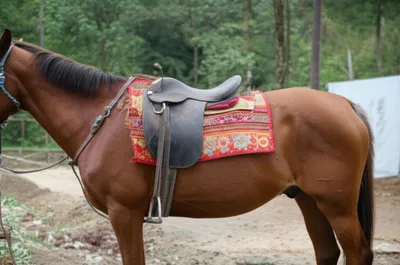 Illustration panels - Image 1