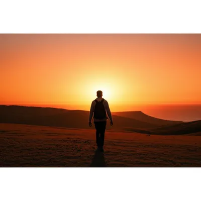 Illustration rove - Image 1