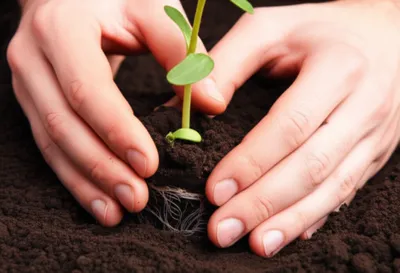 Illustration heeling - Image 1