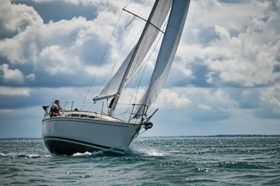 Illustration pointed - Image 1