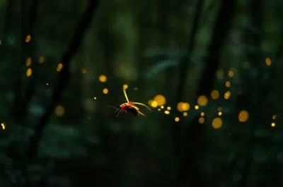 Illustration winks - Image 1