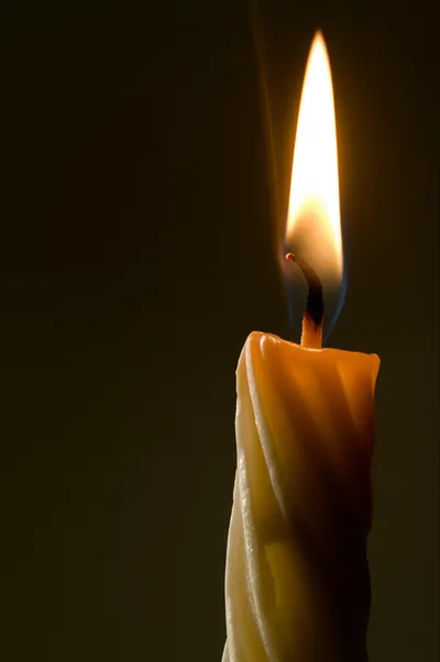 Illustration complete - Image 1