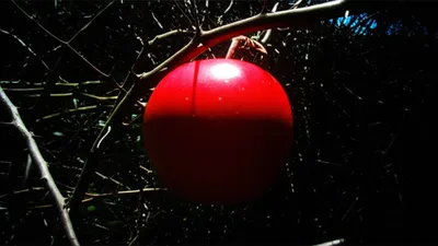 Illustration tabued - Image 1