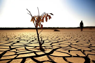 Illustration deserts - Image 1