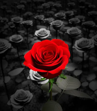 Hình ảnh minh họa punctuating - Ảnh 1